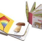 Links: "der Drachen", "der Pilz". Rechts: "Tiere", "der Tiger". Ein Kinderbuch mit Illustrationen.