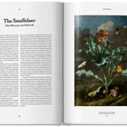 "Art: The Snuffelaer, Otto Marseus van Schrieck. Rechts eine Illustration mit Disteln, einem Schmetterling und Pilzen."