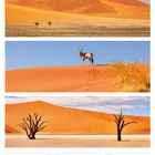 07 So, 09. Woche 2027, März. Drei Sahara-Bilder: Dünen, ein Oryx, abgestorbene Bäume.