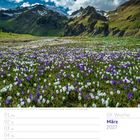 Es ist März 2027, Woche 09. Eine Wiese voller weißer und lilafarbener Krokusse, dahinter schneebedeckte Berge.  