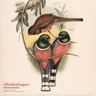 Text: "Maskentrogon (Trogon personatus)", Kalenderdaten für März. Illustration von Vögeln auf einem Ast mit grün-rosa Gefieder.