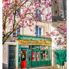 Ein blühender Kirschbaum steht vor einem bunten Buchladen namens "Shakespeare and Company". Darunter "12 März".