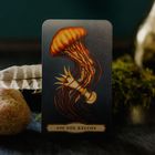 „Ass der Kelche“ – Eine Karte zeigt eine orangefarbene Qualle, die einen Kelch umgibt. Feder und Stein daneben.