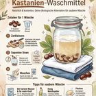 Kastanien-Waschmittel: Zutaten, Zerkleinern, Saponine lösen, Waschen. Tipps: Waschsoda, Essig, Flecken. Illustration mit Glas und Kastanien.