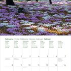 Kalender für Februar 2027 mit Wochentagen in mehreren Sprachen. Oben ein Wald mit violetten und weißen Blumen.
