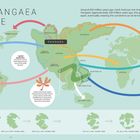 "The Pangaea Puzzle", "A global superocean", "Fossils of the extinct plant Glossopteris", Weltkarte mit Kontinentverschiebung.