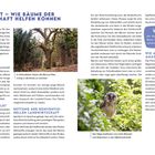 **Agroforst – Wie Bäume der Landwirtschaft helfen können**

**Wie Bäume aufs Feld kommen**

**Hutewald = guter Wald?**

**Rettung der konventionellen Landwirtschaft**

**Wussten du schon...?** Die Bepflanzung eines Ackers mit einem Baum- oder Strauchstreifen kann die Windgeschwindigkeit um bis zu 80 % verringern.

**Wie Agroforst den Amazonas rettet**