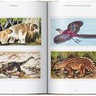 Kapitel VII, The Return of English Paleoart. Illustrationen: Bären, fliegender Vogel, Dinosaurier am Wasser, gepanzerter Dinosaurier.