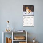 Januar 2027 Kalender mit Bild eines Welpen im Schnee, hängt an blauer Wand über Regal mit Karaffe und Büchern.