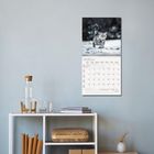 Kalenderblatt Januar 2023, Katze im Schnee, modernes Regal darunter, Dekoration mit Glaskaraffe und Körben.