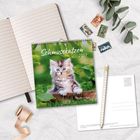„Schmusekatzen 2027“ steht auf einem Kalender mit Kätzchenmotiv. Daneben ein Notizbuch, Postkarten und Briefmarken.