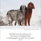 "Die Welt wäre ein schönerer Ort, wenn jeder die Fähigkeit hätte, so bedingungslos zu lieben wie ein Hund. Unbekannt." Zwei Hunde im Schnee.