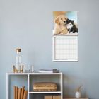 Ein Wandkalender zeigt einen Hund und eine Katze nebeneinander. Darunter ein Regal mit Büchern und Dekoration.