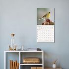 „JANUAR 2027“ auf einem Kalender. Darauf ein gelber Vogel auf Baumstumpf. Darunter ein Regal mit Flaschen und Büchern.