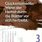 "Glücksmomente: Wenn der Herbststurm die Blätter vor sich hertreibt." Kalenderblatt mit herbstlichen Blättern.