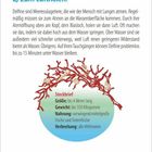 Zum Luftholen. Steckbrief: Größe: bis 4 Meter lang. Gewicht: bis 350 Kilogramm. Nahrung: Fische, Tintenfische. Verbreitung: Weltmeere.