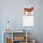 Der Text „Januar 2022” und ein Kalender mit Eselbild. Darunter ein Regal mit Flasche, Gläsern und Büchern.