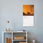 Oktober 2027, Kalender mit Antilopen in orangefarbener Savanne, aufgehängt über einem Regal mit Glaskaraffe und Büchern.