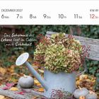 Zitat: „Das Geheimnis des Lebens liegt im Suchen nach Schönheit.“ Kalender, Dezember 2027, Gießkanne mit Blumen.