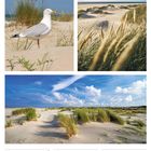 Kalender: 8. bis 14. März 2027. Oben: Möwe, Dünen, Gräser und blauer Himmel.