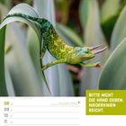 Text: "BITTE NICHT DIE HAND GEBEN. NIEDERKNIEN REICHT." Ein Dreihornchamäleon auf einem Blatt. Kalendereintrag für März 2027.