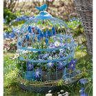 Im Käfig: Strahlenanemone, Traubenhyazinthen, Hornveilchen, dazu ein blauer Käfig und ein Vogel oben. Datum: 13 MÄR/APR.