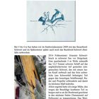 „Havarie“ steht über einer Illustration. Ein Mensch fällt, umgeben von Wasser. Unten ein beschädigtes Schiffsdetail.