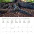 Kalender für Dezember 2027. Ein großer Baum mit mächtigen Wurzeln und Sonnenstrahlen im Hintergrund.