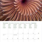 Kalender für Dezember, Tage in mehreren Sprachen. Oben ein abstraktes, spiralförmiges Muster in Braun- und Orangetönen.