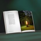 Offenes Buch: Links Text über "Walter Dexel", rechts ein beleuchtetes Kunstwerk im Park mit Bäumen im Hintergrund.