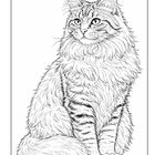 Eine detaillierte Illustration einer sitzenden Maine Coon-Katze mit buschigem Fell und feinen Gesichtszügen.