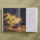 Text: "Bonsai Light Cascade". Ein Bonsai-Baum, beleuchtet mit Lichterketten, steht auf sandigem Boden in dunkler Umgebung.