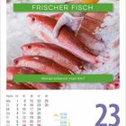 Text: "FRISCHER FISCH", "Woran erkennt man ihn?", Datum: "Dienstag, 23. November". Ein Fisch wird auf Eis gezeigt.