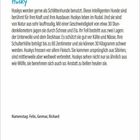 "Husky" steht prominent in blau oben. Weitere Infos: Schlittenhunde, Rudeltiere, schnell, doppeltes Fell, fleischfressend.名前stag: Felix, Germar, Richard.