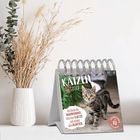 Text: "KATZEN 2024. Am Rande des WAHNSINNS sitzt eine KATZE und schubst alles RUNTER."

Kalender mit Katzenfoto.
