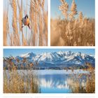 15 Mo, 16 Di, 17 Mi, 18 Do, 19 Fr, 20 Sa, 21 So Palmsonntag, 11. Woche 2027, März. Schilf, Berglandschaft, See.