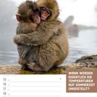 Text: "WANN WERDEN EIGENTLICH DIE TEMPERATUREN AUF SOMMERZEIT UMGESTELLT?" Zwei Äffchen umarmen sich in einer winterlichen Landschaft.