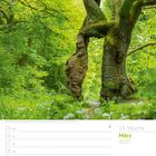 Text: "11. Woche, März 2027, 21 So, Frühling, Palmsonntag." Alte Eiche in grünem Wald mit moosbewachsenem Stamm.