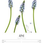 Kalenderblatt für April mit Illustration. Junge sitzt und schaut Schmetterling an, Blumenstängel ragen hoch.