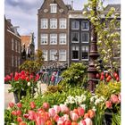 14 APRIL, umgeben von roten und weißen Tulpen. Im Hintergrund stehen Fahrräder und ein historisches Gebäude in Amsterdam.
