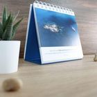 Text: „Gott ist in die Tiefe des Menschenlebens gegangen und darum weiß er, wie es auf dem Grund aussieht.“ Ein Tischkalender mit einem Bild von einer Insel im blauen Wasser, daneben eine Pflanze.