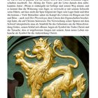 Text: "Pfälzer Wappen", "Der Kurpfälzer Löwe am Heidelberger Stadthallentor." Illustration: Goldener Löwe auf grünem Hintergrund.