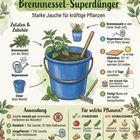Text: Brennnessel-Superdünger. Illustration zeigt Anleitung zur Herstellung von Jauche aus Brennnesseln in einem blauen Eimer.
