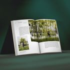 Offenes Buch mit Text "Tita Giese" und Fotos von Bambus und einer Palme in einer städtischen Umgebung.