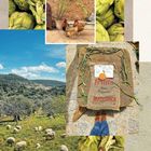 Oben steht "Valldemossa", unten "Fruits New Potatoes MALLORCA". Schafe grasen auf einer Wiese, Artischocken, Hühner.
