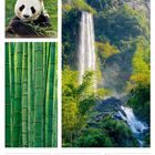 Kalenderseite, März 2027. Bilder: Panda mit Bambus, dichter Bambuswald, hoher Wasserfall umgeben von grünem Wald.