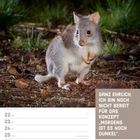 Ganz ehrlich. Ich bin noch nicht bereit für das Konzept „Morgens ist es noch dunkel“. Kalenderseite mit einem Rattenkänguru.