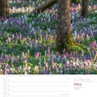 März 2027, Woche 12 Kalender. Wald mit lila und weißen Blumen unter Bäumen.