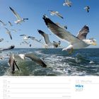 12. Woche, März 2027. Möwen fliegen über das Meer mit blauem Himmel im Hintergrund. Kalenderseite mit Daten.