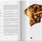 "Mushroom Tempura", "Serves: 4", Zutatenliste, Rezeptbeschreibung, brauner Pilz mit Stäbchen, tropfende Sauce auf weißem Hintergrund.